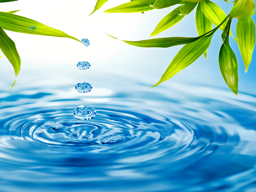 blue-drops-greens-leaves-tw2011.png
