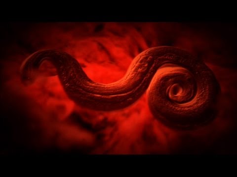 diagnostika-8.jpg