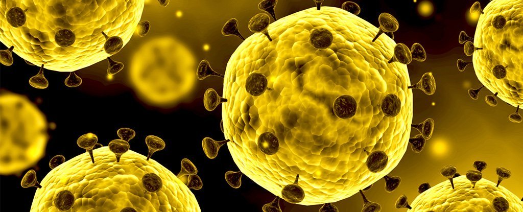 coronavirus.jpg